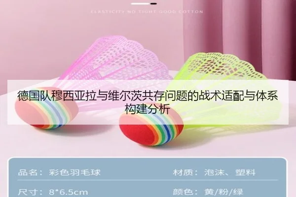 德国队穆西亚拉与维尔茨共存问题的战术适配与体系构建分析
